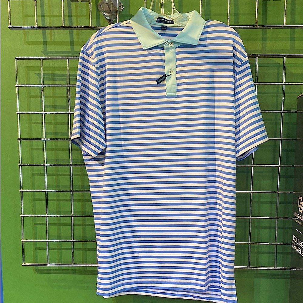 Peter Millar Blue and White Striped Men's Shirt